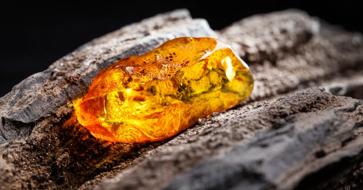 Ambre naturel. Un morceau d'ambre naturel jaune transparent sur un grand morceau de bois foncé