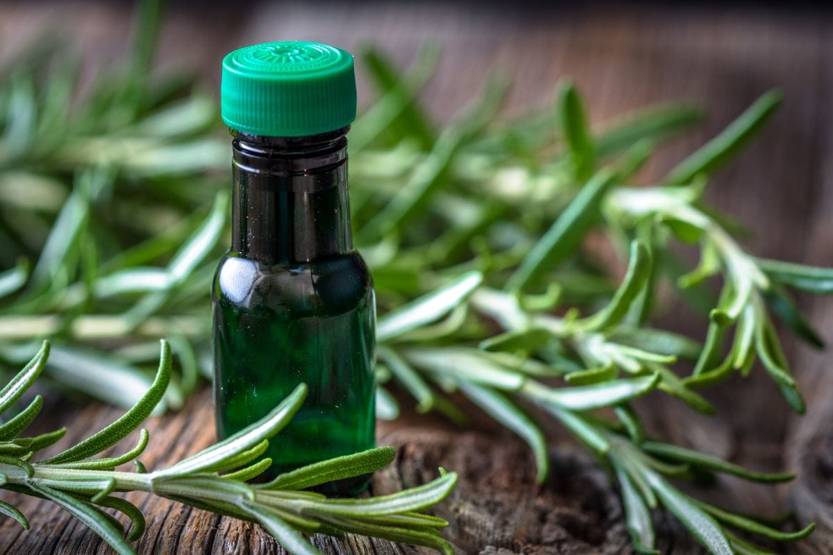 Bouteille d'huile essentielle de romarin avec un peigne en bois et une plante d'aloe vera
